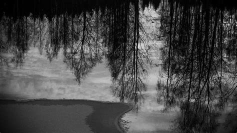 HD wallpaper: sad, black and white, sorrow, water, reflections, trees, alajärvi | Wallpaper Flare