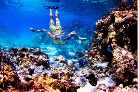 Snorkeling in Tahiti. Photo: Geoffrey Ragatz