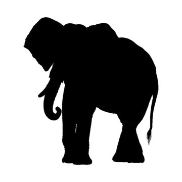 Black Silhouette Of An African Elephant, Elephant Psd, Elephant Art, Elephant PNG Transparent ...