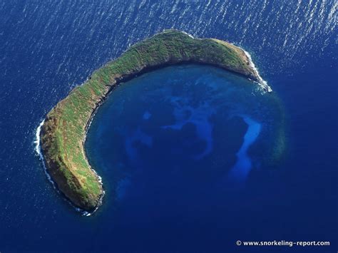 Snorkeling in Molokini Crater, Maui | Snorkeling in Hawaii