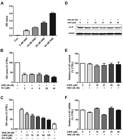 Direct interaction between caffeic acid phenethyl ester and human ...