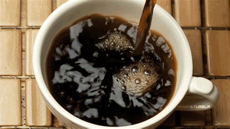 Coffee Cup GIFs on Giphy