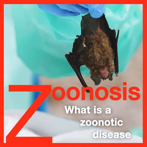 IAEA Zoonosis: What is a Zoonotic Disease?