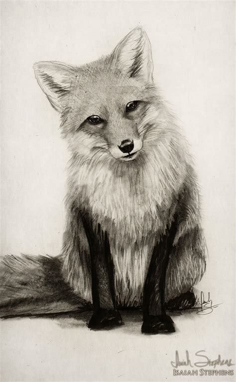 50+ Easy Pencil Drawings of Animals That Look So Realistic