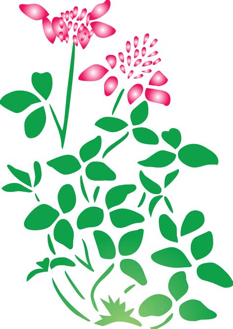 Summer flower 36647661 Vector Art at Vecteezy