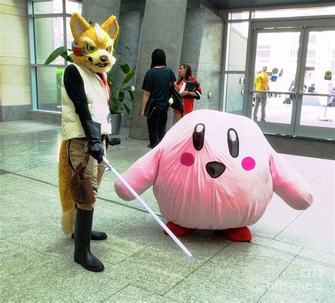 Star Fox and Kirby Cosplayers inside Animazement, May 24, 2019, Raleigh, NC Photograph by Toro ...