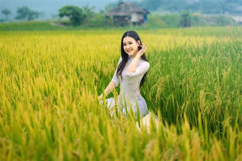 VIETNAM’S RICE PRICE REACHED THE HIGHEST LEVEL IN 10 YEARS