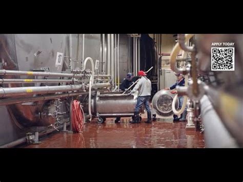 Anheuser-Busch Careers | Start Your Journey Here - YouTube