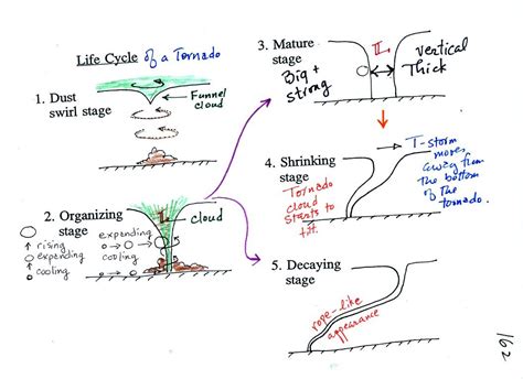 Tornado Formation Stages