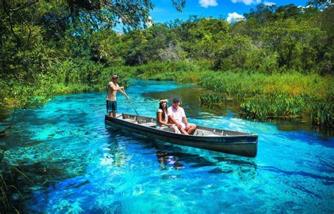 Boat tour at the blue turquoise Sucuri river in Bonito, Mato Grosso do Sul in Brazil - Humboldt ...