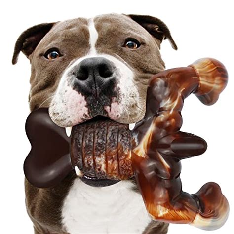 Best Dog Bones For Aggressive Chewers