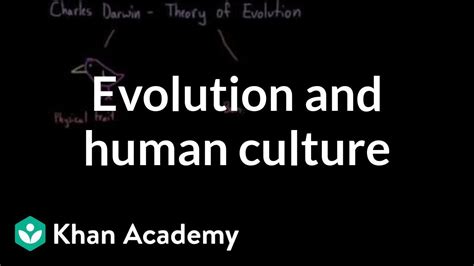 Evolution and human culture | Society and Culture | MCAT | Khan Academy - YouTube