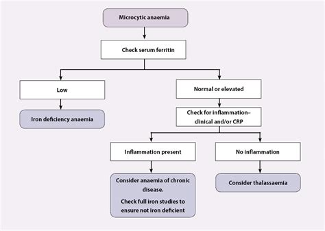 Low Lymphocytes And Eosinophils