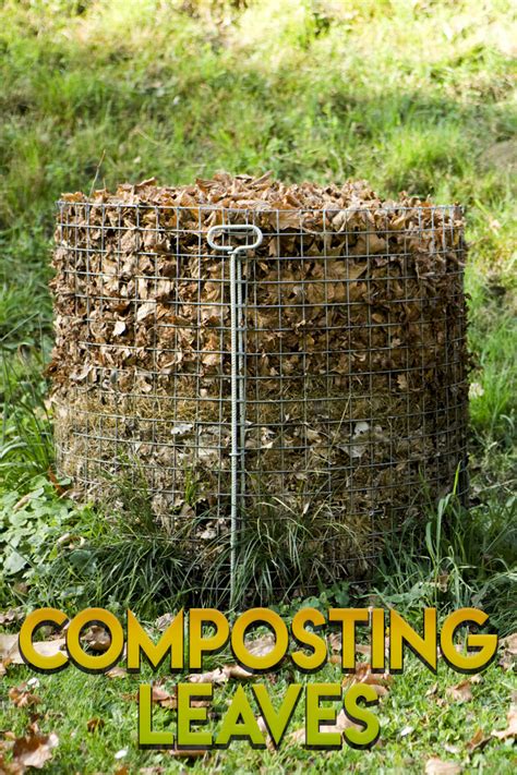 Composting Leaves