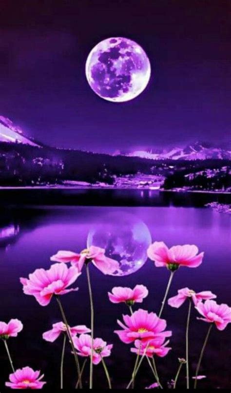 Flowers and Moon Wallpapers - Top Free Flowers and Moon Backgrounds ...