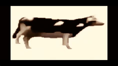 Dancing Polish Cow - YouTube