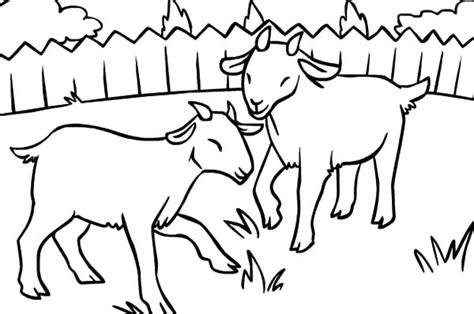 Two Litte Goat Eating Grass Coloring Pages : Color Luna | Grass drawing, Coloring pages, Drawings