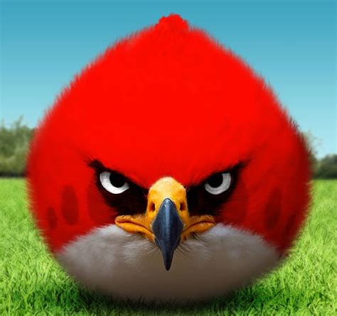 LeatherJakt: Angry Birds Fan Art