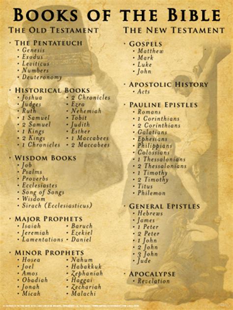 Books of the Bible Poster - Catholic to the Max - Online Catholic Store