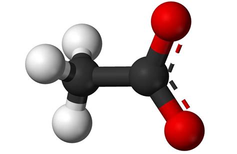 Acetate Definition - What Is an Acetate?