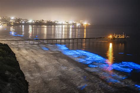 Bioluminescent Waves at California Beaches