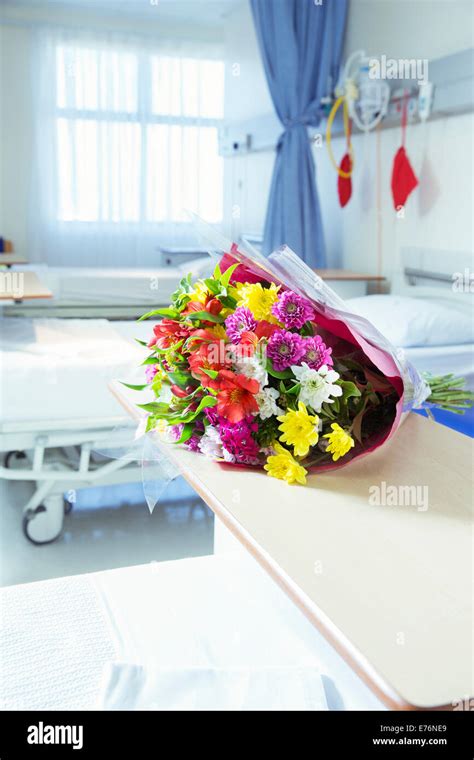 Flowers For Patients In Hospital - The Best Flowers To Give A Hospital ...