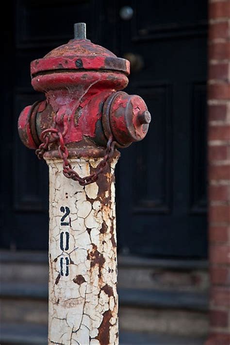 17 Best images about Fire Hydrant Art on Pinterest | Ontario, Oldenburg ...