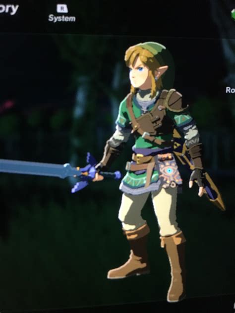 This is how I dress my Link in Botw. A mix of the old style and the new. : r/Breath_of_the_Wild