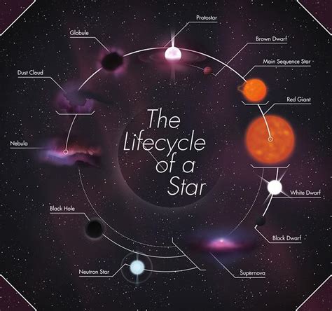 Life Cycle of a Star - Seven Main Stages of a Star - Stellar Evolution ...