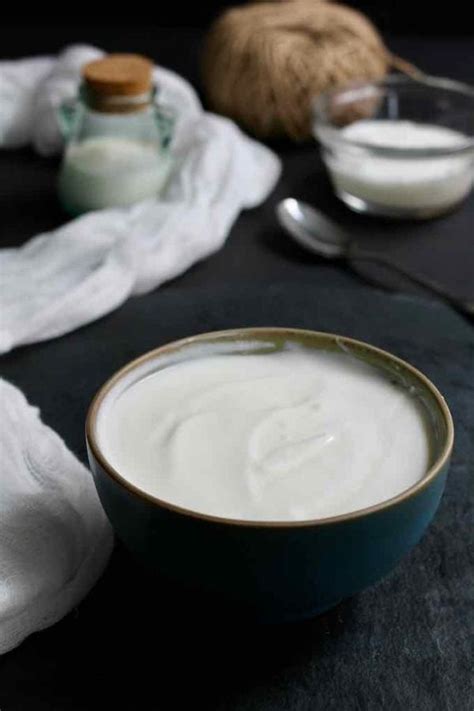 Dahi - Traditional and Authentic Indian Recipe | 196flavors