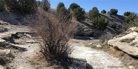 Lake Pueblo State Park: Hiking with Geology - Darla Travels