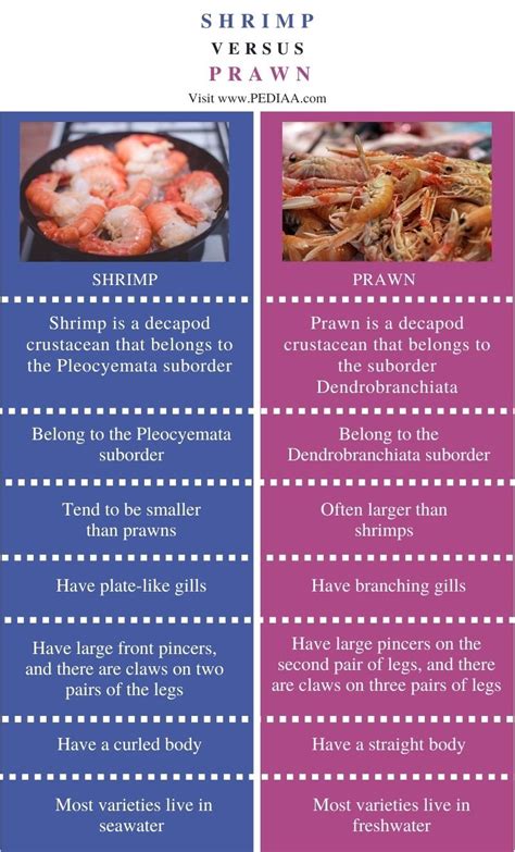 What is the Difference Between Shrimp and Prawn - Pediaa.Com