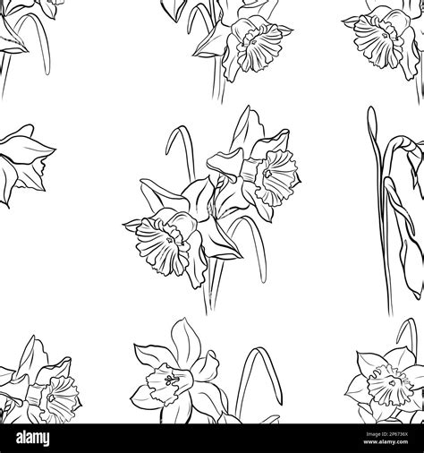 Spring flowers collection of daffodils seamless verctor pattern Stock Vector Image & Art - Alamy