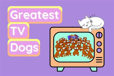 Who’s the Best Dog on TV? 02-2022 TV Dogs Ranked