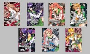 Highschool Of The Dead Manga Collection - Manga