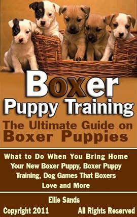 Boxer Puppy Training: The Ultimate Guide on Boxer Puppies, What to Do When You Bring Home Your ...