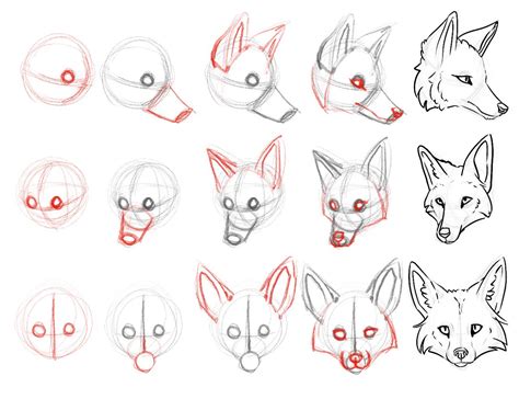 How To Draw A Fox Head