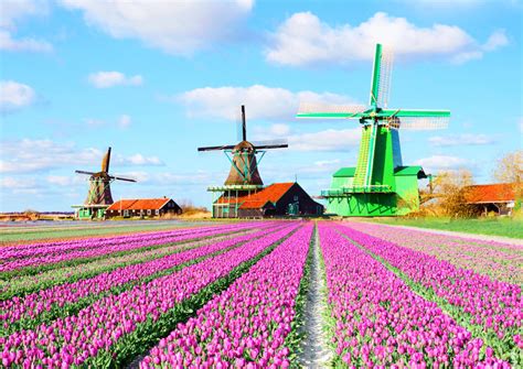 Holland Windmill Tours from Amsterdam - 2020 Travel Recommendations | Tours, Trips & Tickets ...