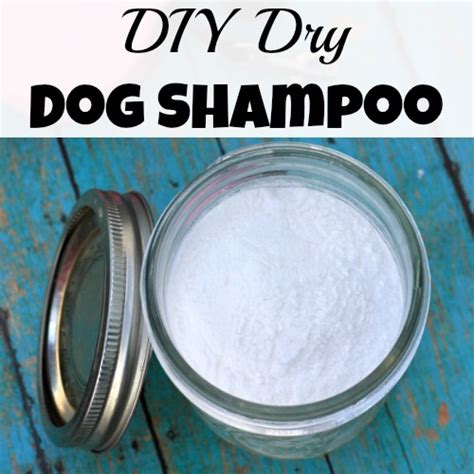 DIY Dry Dog Shampoo