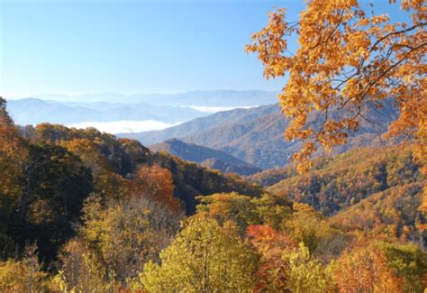 Smoky Mountain Fall Colors Guide + Tips for Enjoying Fall Foliage in the Smokies