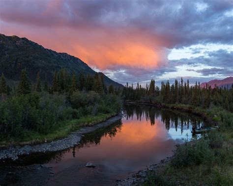 Yukon’s climate, notoriously cold in Gold Rush days, is transforming - Anchorage Daily News