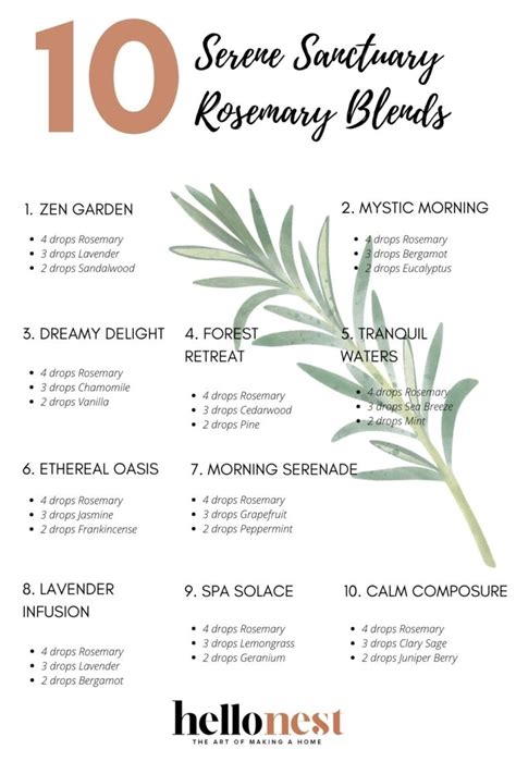 30 Rosemary Diffuser Blends To Scent Your Space | Hello Nest