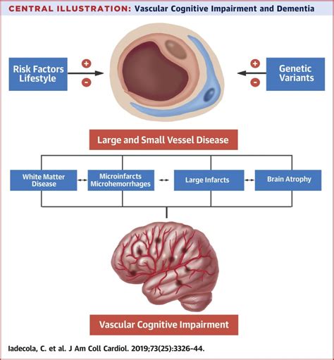 What are the 7 Stages of Vascular Dementia?