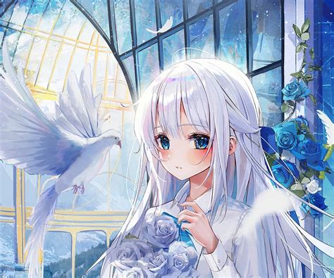 Anime, Bird, Girl, Blue Eyes, White Hair, HD wallpaper | Peakpx