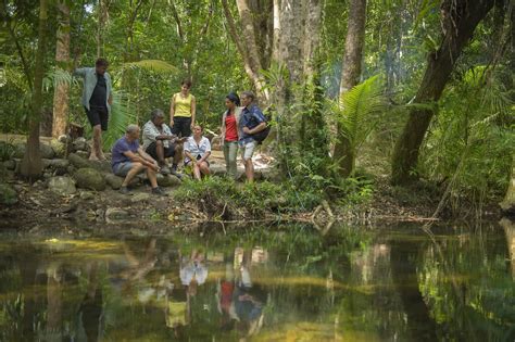 Mossman Gorge Tours - Dreamtime Walk - Adventures Port Douglas