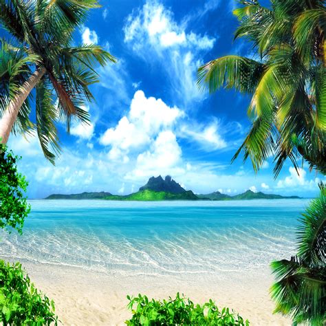 tropical beach photo backdrop 10x10ft large vinyl photo backdrop summer hawaiian luau photo ...