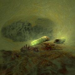 Antlion Grub | Half-Life Wiki | Fandom