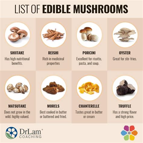 Supercharge Your Health with the Powerful Benefits of Eating Mushrooms