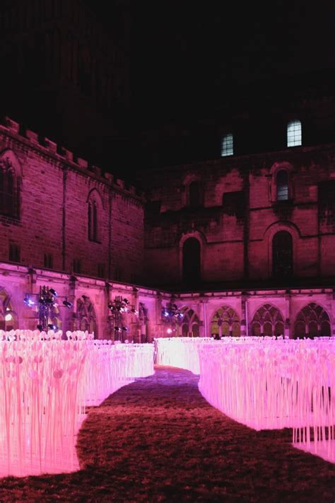 Durham Streets and Lumiere Festival – Jelly Journeys