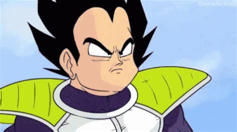 Vegeta Derp GIF - Vegeta Derp Dragonballs - Discover & Share GIFs